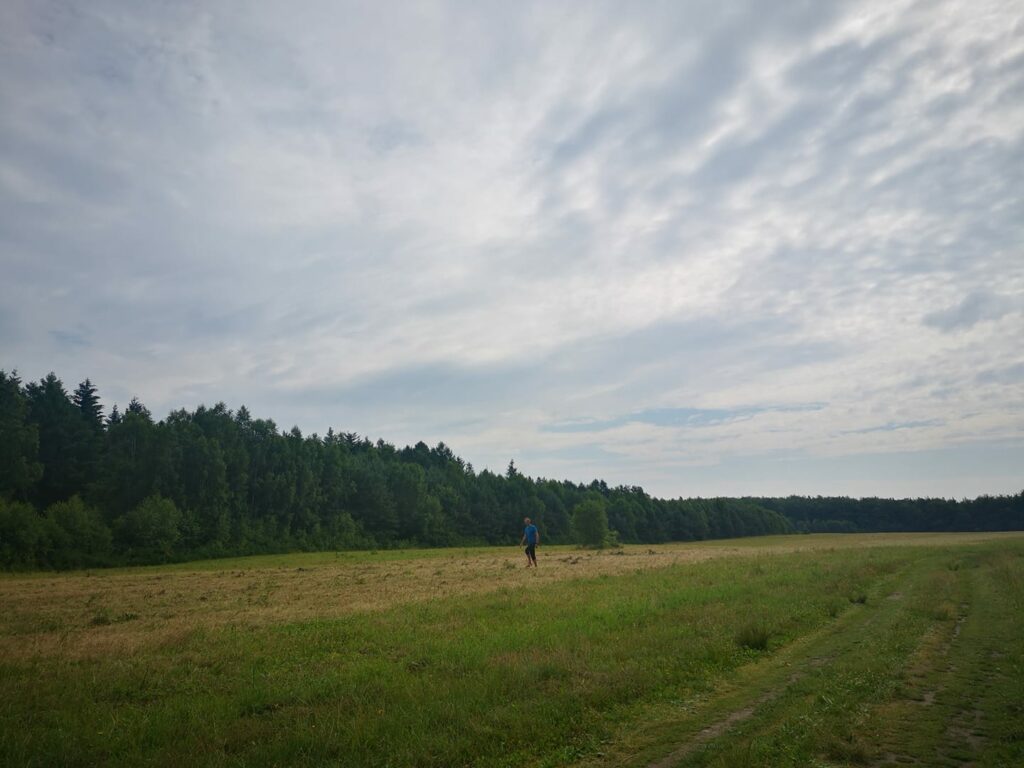 Samodzielny bieg lub spacer z mapą po przygodę. 15. Harpuś w parku Reagana