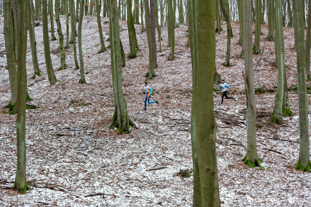 Pięć kilometrów biegu przez oliwskie lasy. Piąty City Trail w Trójmiejskim Parku Krajobrazowym