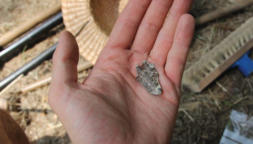 Dowiedz się, jakie tajemnice skrywa ziemia w Wisłoujściu. Przyjdź na Otwarte Dni Archeologiczne