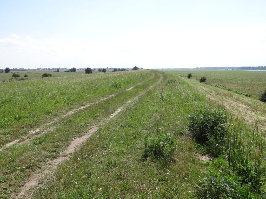 Pierwszy krok do połączenia międzynarodowych tras rowerowych na Pomorzu. Są pieniądze na projekt budowalny