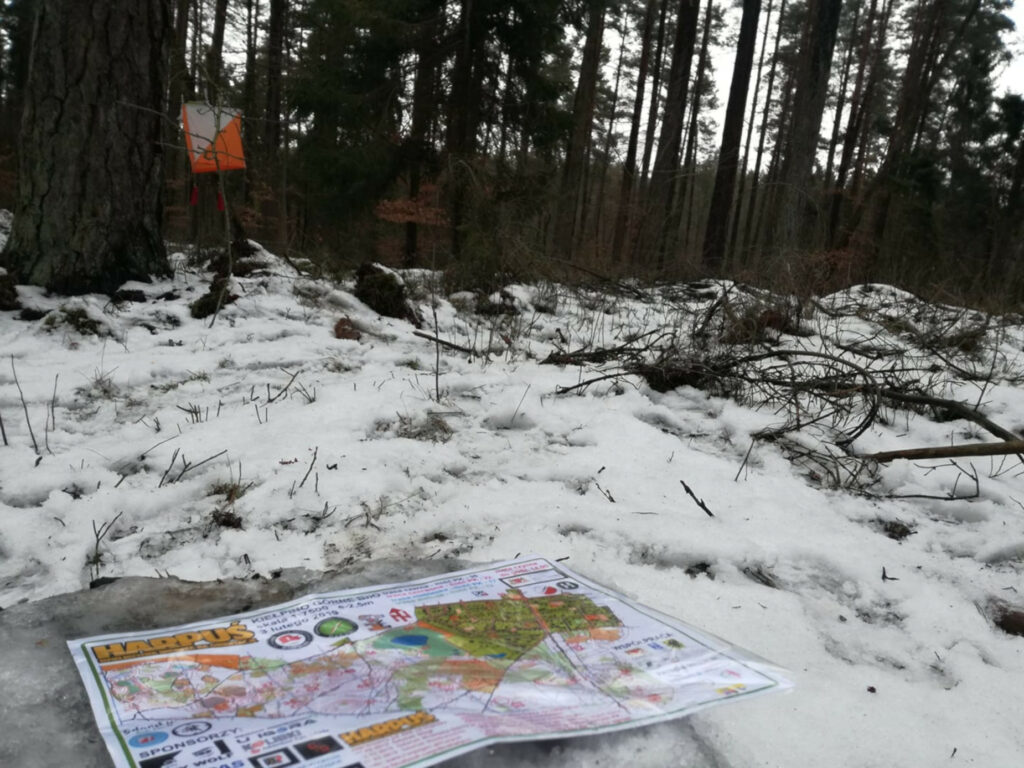 Biegiem lub spacerem przez lasy gdańskich Stogów. W niedzielę Harpuś zagości nad morzem