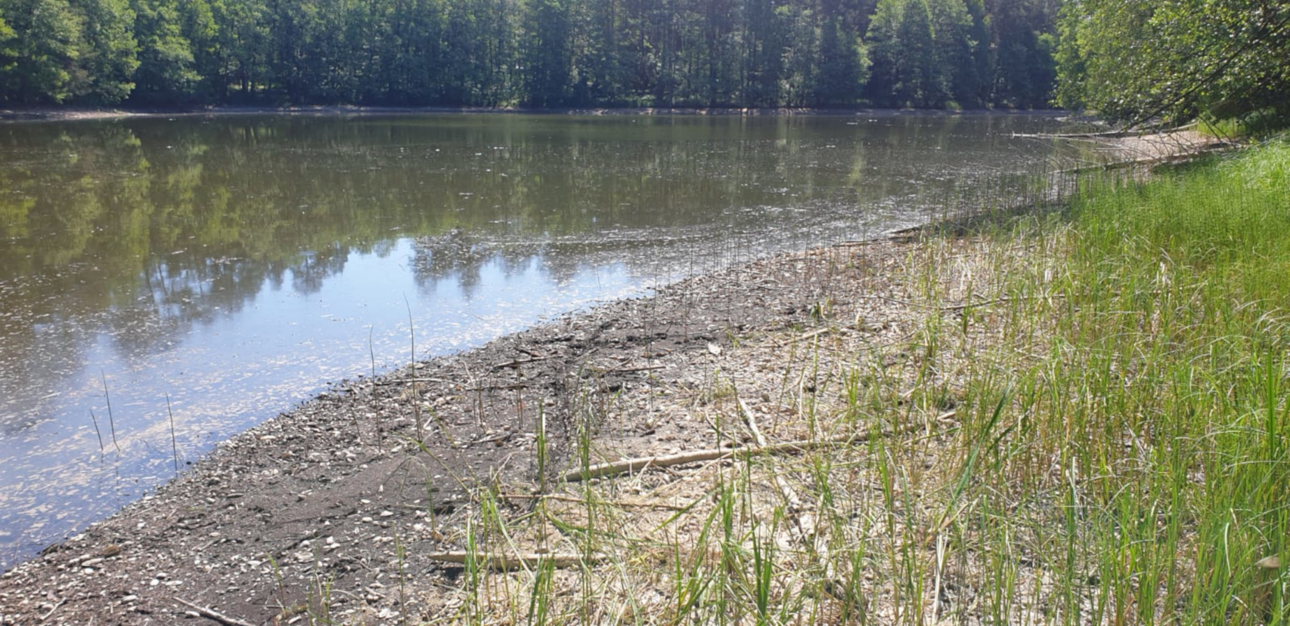 Ekologiczna katastrofa w dolinie Słupi. Co się stało z wodą z Jeziora Głębokiego?