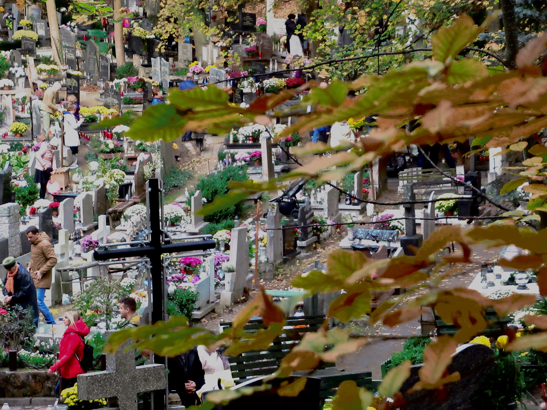 Niezwykły spacer po Cmentarzu Srebrzysko. Poznaj historię dziewięciu wybitnych gdańszczanek