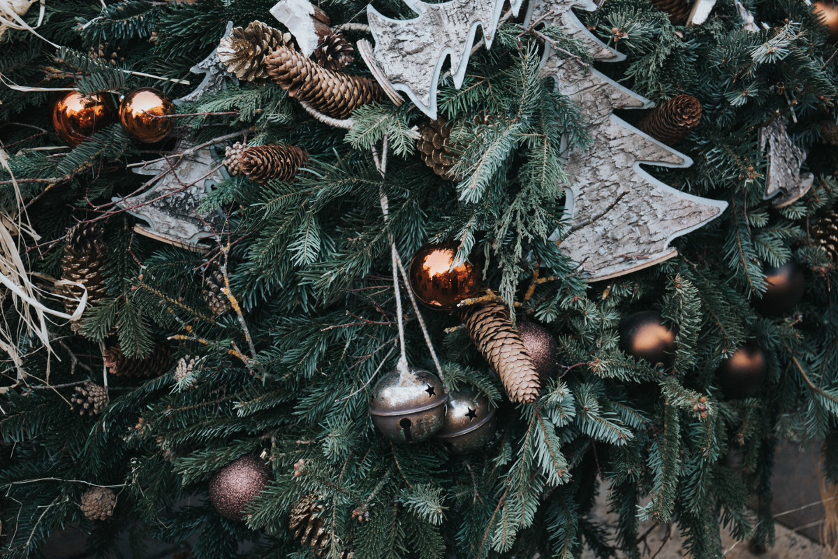 Sam wytnij choinkę w lesie na Boże Narodzenie. Przedświąteczna akcja Nadleśnictwa Gdańsk