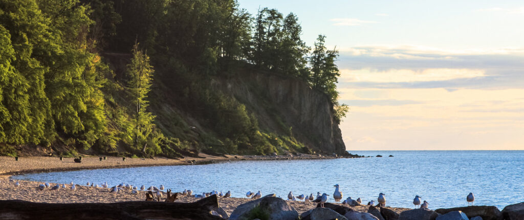 International „BALTIC POSTER CONTEST 2019. Reduce, Reuse, Rethink!”