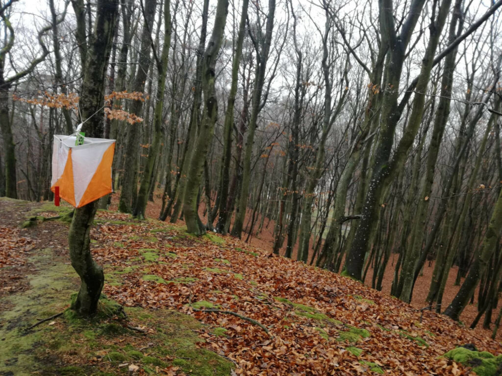 Biegiem z mapą przez lasy Kiełpina Górnego. Kolejny dzielnicowy Harpuś już w niedzielę