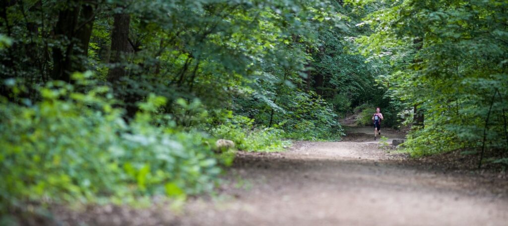 Nie szukaj wymówek.  Weź udział w wirtualnym biegu City Trail on Tour