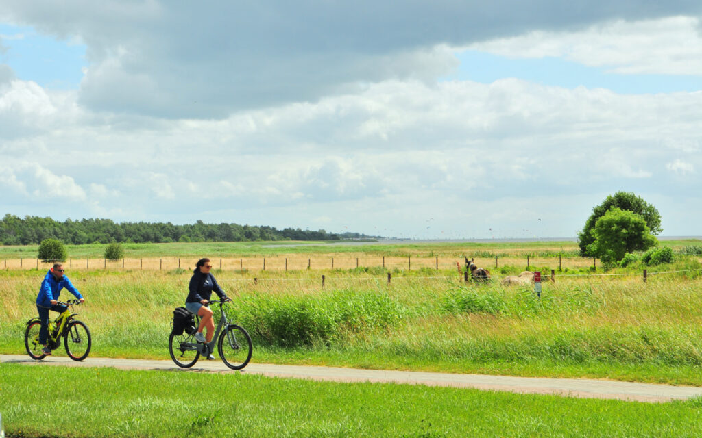 Pomorskie Trasy Rowerowe wydłużyły się o ponad 100 km. Co jeszcze zmieniło się w 2019 roku?