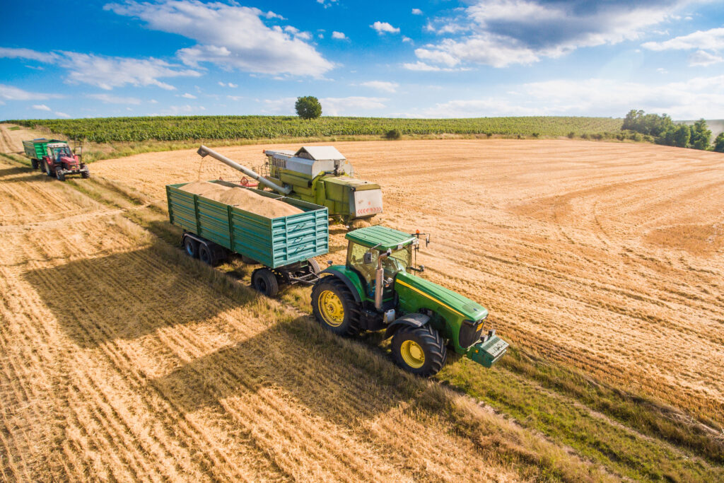 DPROW Newsletter nr 4/2019