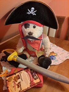 Miś przebrany za pirata