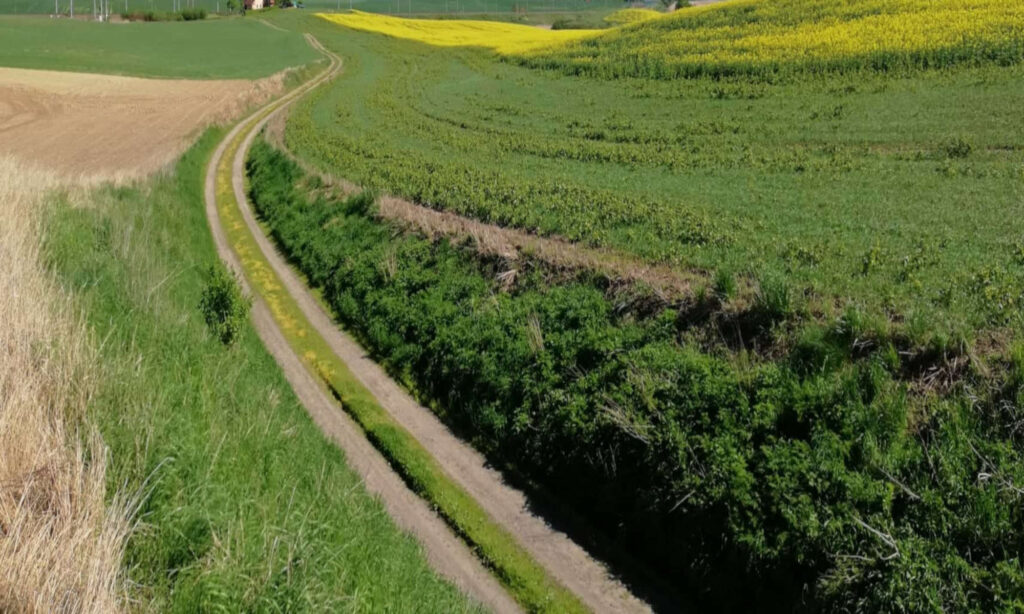 Te inwestycje ułatwią pracę rolnikom m.in. z Jasnej, Linowca czy Żuławki Sztumskiej