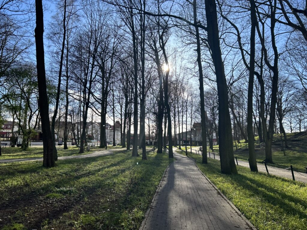 Nowa i nietypowa rzeźba w parku Chopina w Ustce. Co przedstawia?