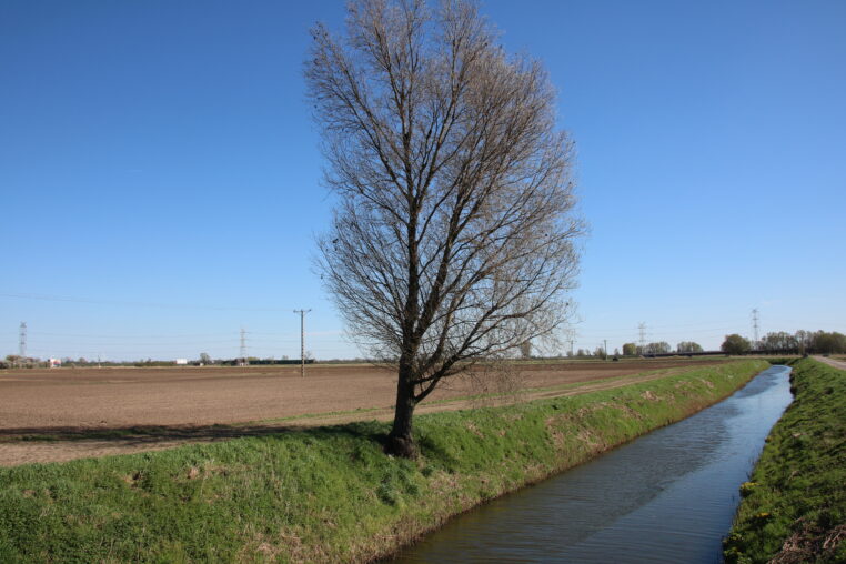 Pieniądze na retencję i ochronę przed powodzią. Do samorządów może trafić na ten cel wsparcie z KPO