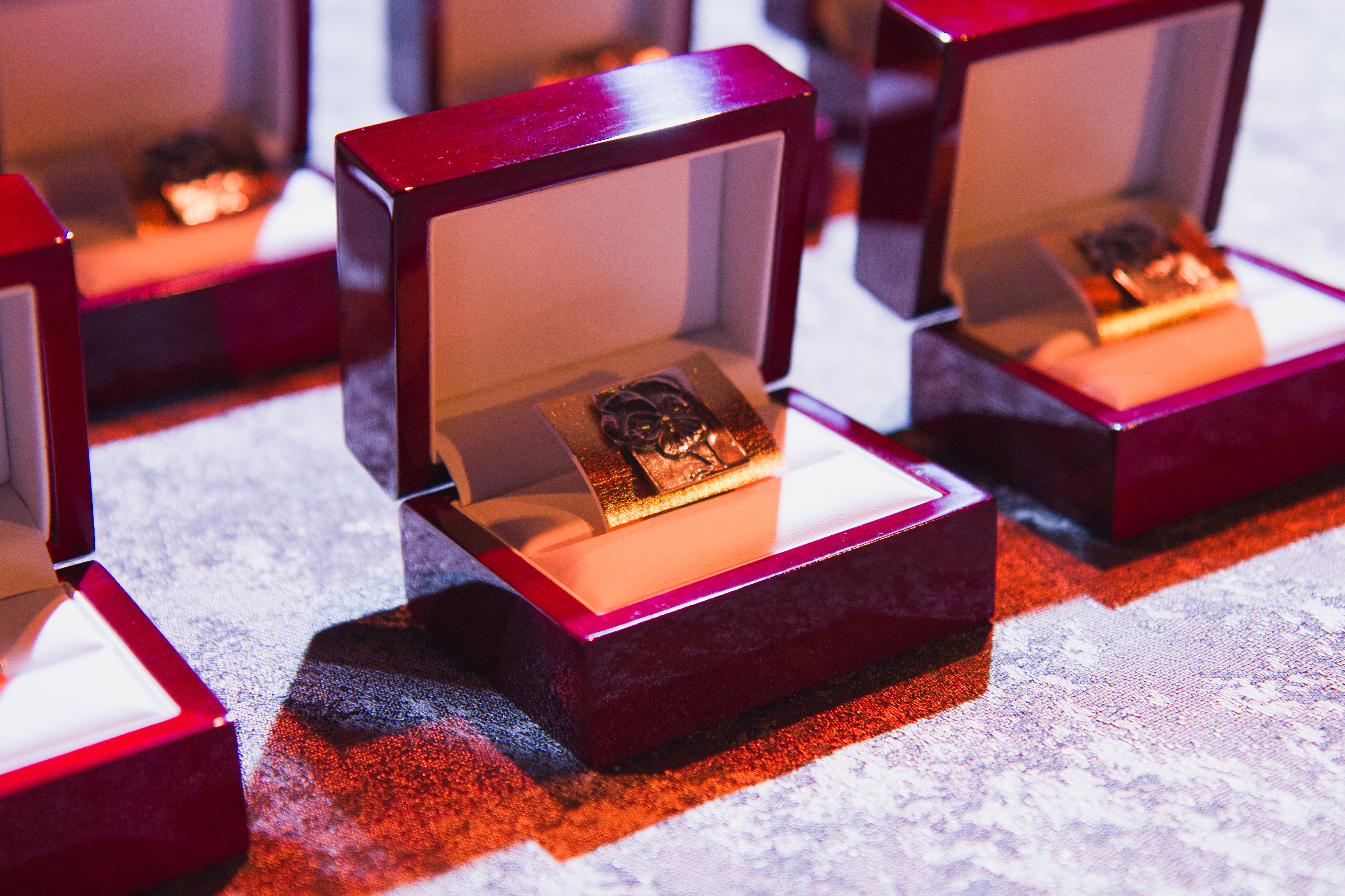 Pomorski bratek 2025. Doceniamy wolontariuszy, którzy niosą nadzieję. Zgłoś swojego kandydata