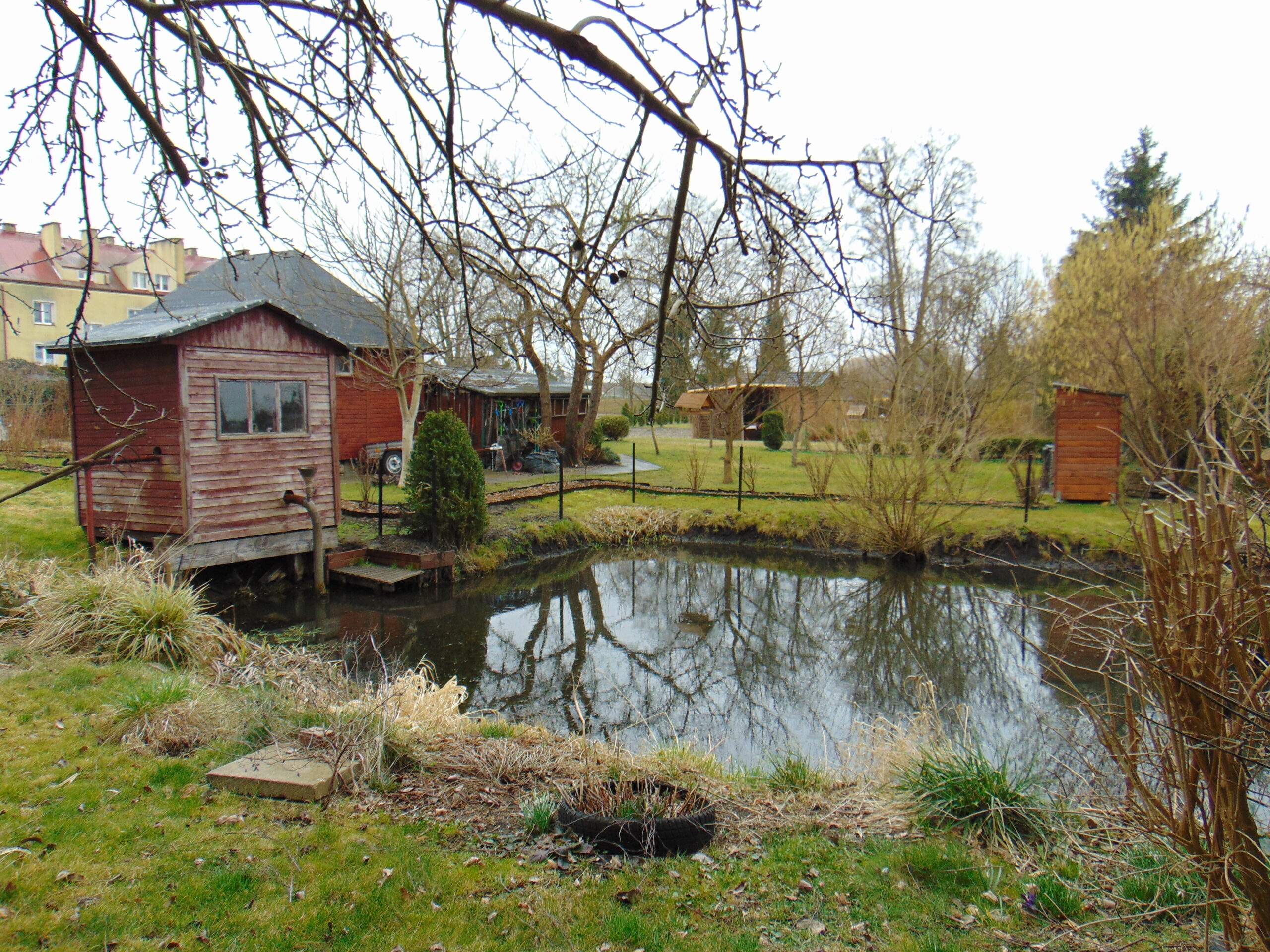Inwestycje w ROD. Dołącz do programu Pomorskie dla Działkowców 2026