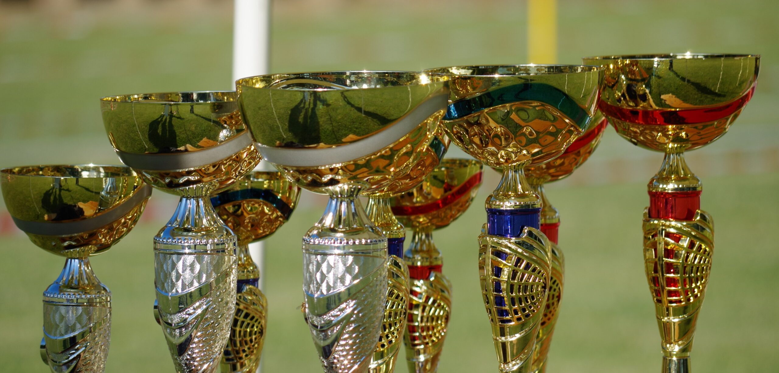 Kilkudziesięciu sportowców ze stypendiami marszałka województwa pomorskiego