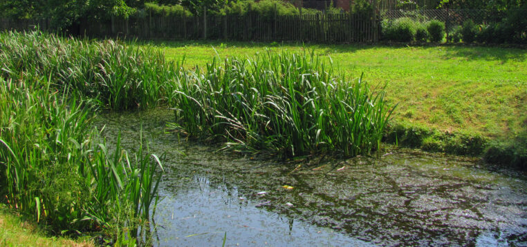 Inwestujemy w bezpieczeństwo i ekologię. Wsparcie dla kolejnych pomorskich gmin