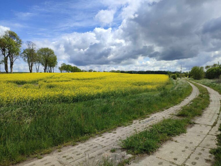 Lepsze drogi dla pomorskich rolników. Modernizowane będą kolejne dojazdy do pól