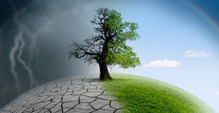 Zdążyli przed klimatem i uratowali Ustkę! Gra miejska o odporności klimatycznej