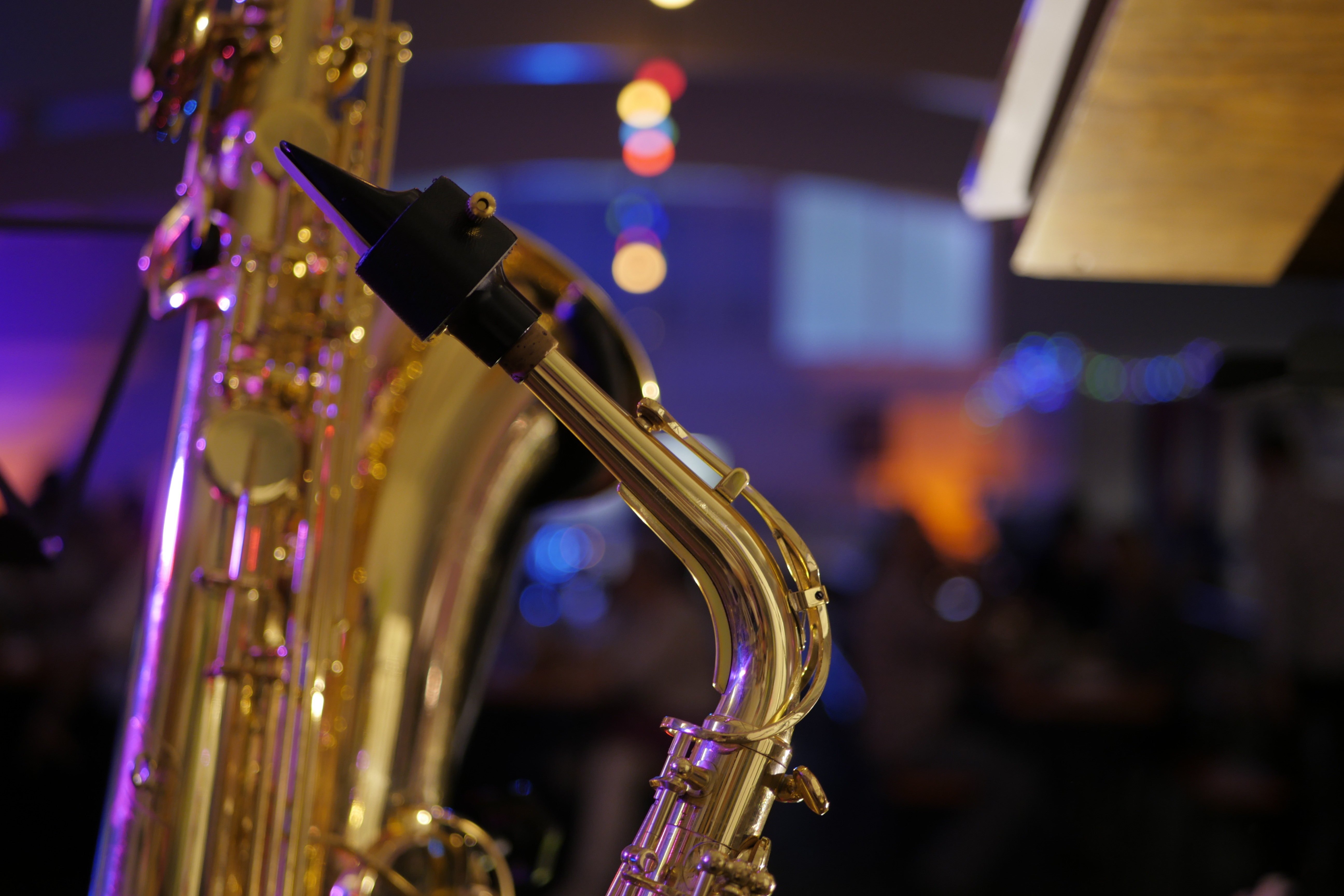 Koncert edukacyjny – krótka historia dętki